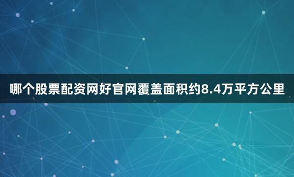 哪个股票配资网好官网覆盖面积约8.4万平方公里