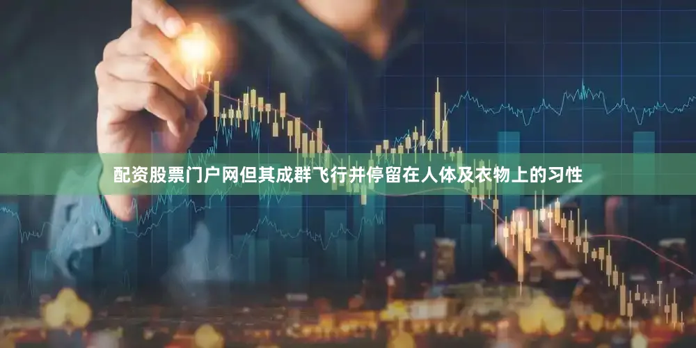 配资股票门户网但其成群飞行并停留在人体及衣物上的习性