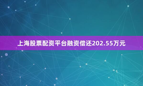 上海股票配资平台融资偿还202.55万元