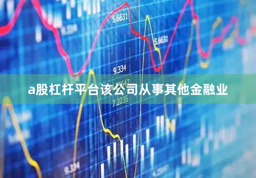a股杠杆平台该公司从事其他金融业